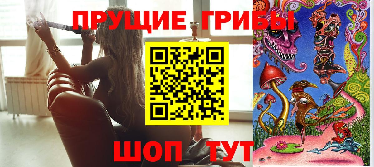 Псилоцибиновые грибы Psilocybine cubensis Каменка