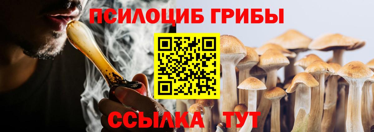 Галлюциногенные грибы мицелий  Вход с VPN  Псилоцибиновые грибы прущие грибы  Каменка 
